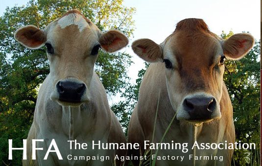Humane Farming and American Humane Assoc Donations
